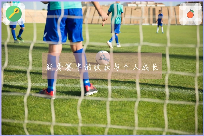 新秀赛季的收获与个人成长