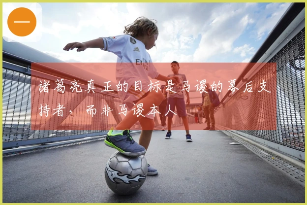 诸葛亮真正的目标是马谡的幕后支持者，而非马谡本人